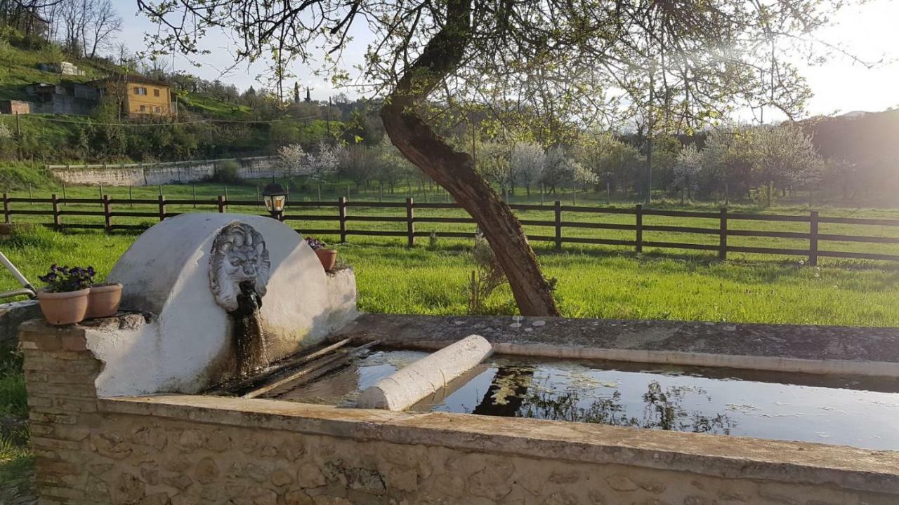 Villa Casale Delle Ginestre. Castel Madama Exterior foto